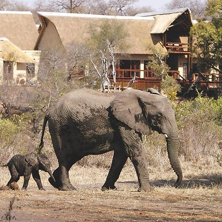 Elephant Plains Game Lodge Cagar Alam Sabi Sand Bagian luar foto