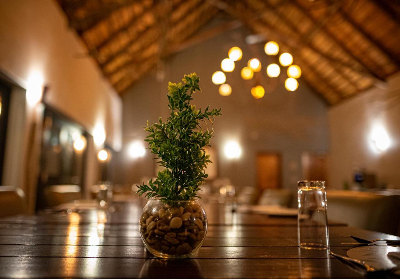Elephant Plains Game Lodge Cagar Alam Sabi Sand Bagian luar foto