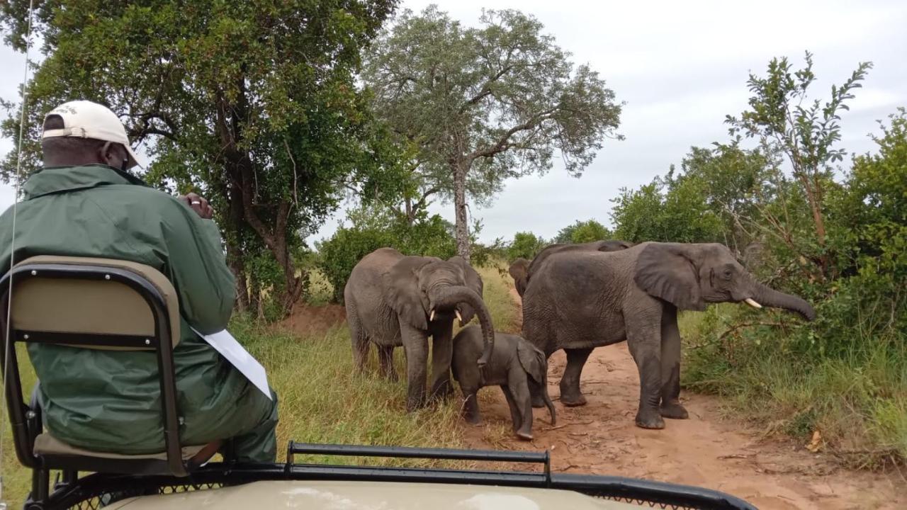 Elephant Plains Game Lodge Cagar Alam Sabi Sand Bagian luar foto
