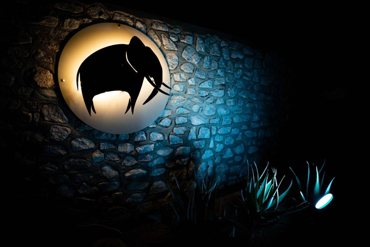 Elephant Plains Game Lodge Cagar Alam Sabi Sand Bagian luar foto